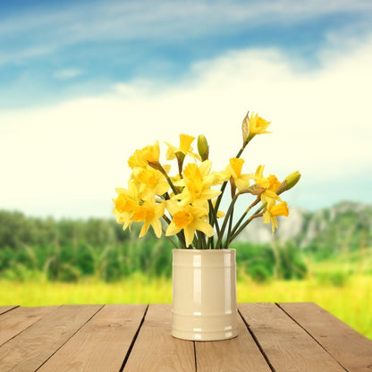 Yellow daffodils