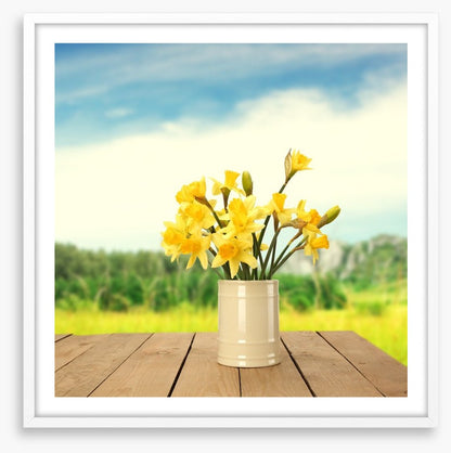 Yellow daffodils