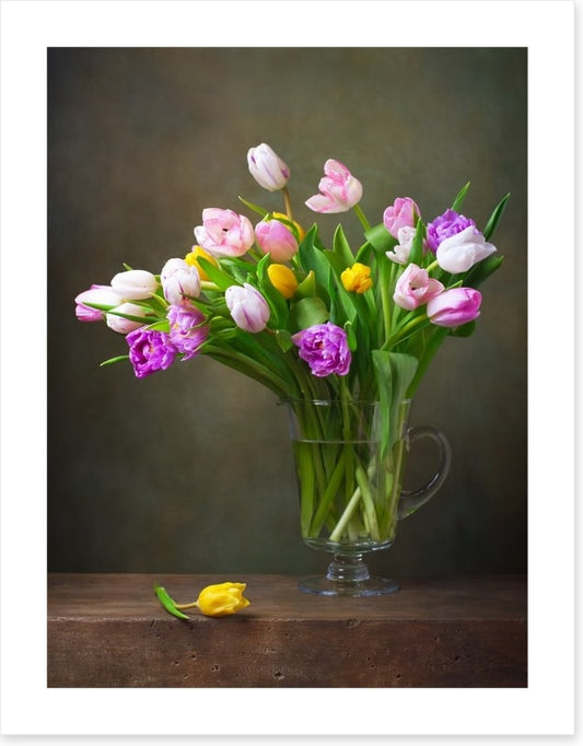 Still Life