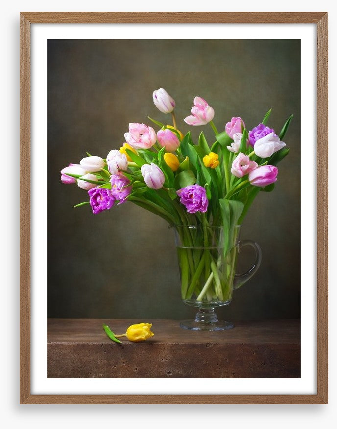Still Life