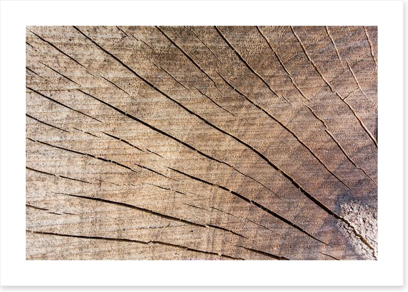 Against the grain