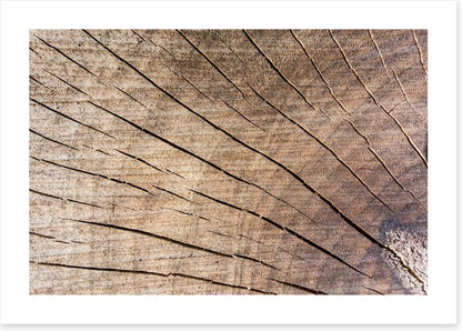 Against the grain