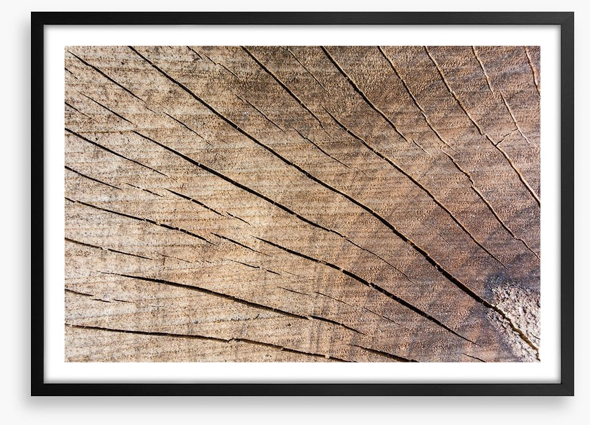 Against the grain