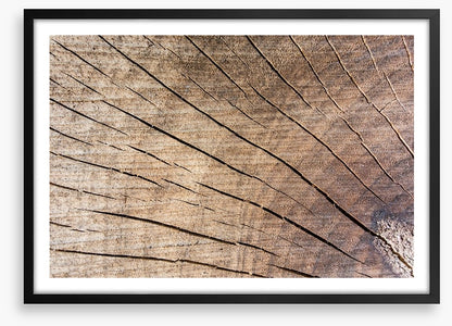 Against the grain