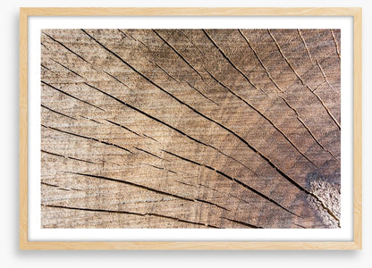 Against the grain