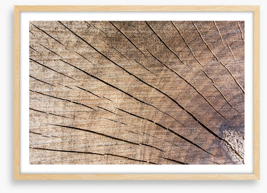 Against the grain