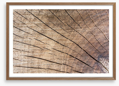 Against the grain