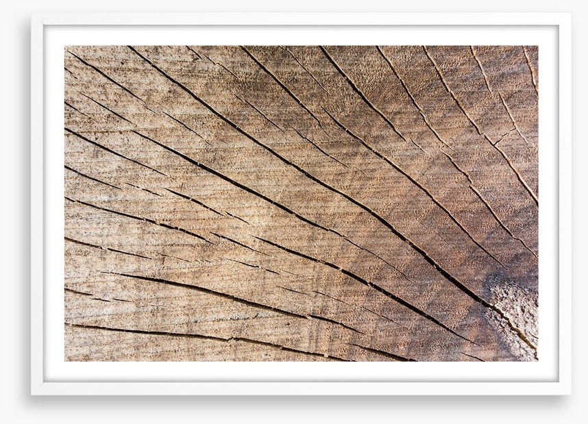 Against the grain