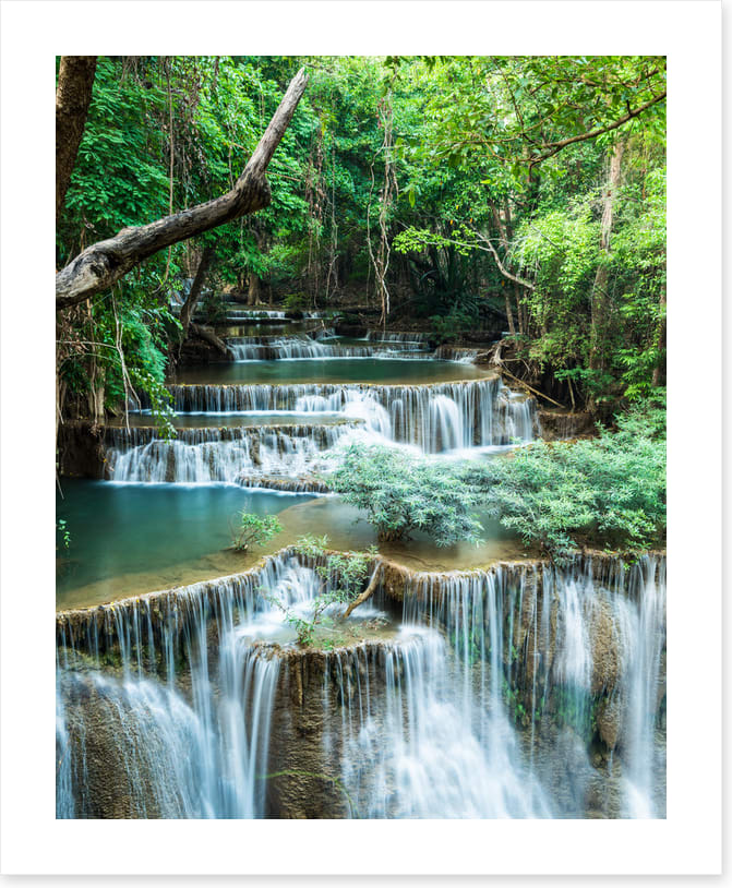 Deep forest falls