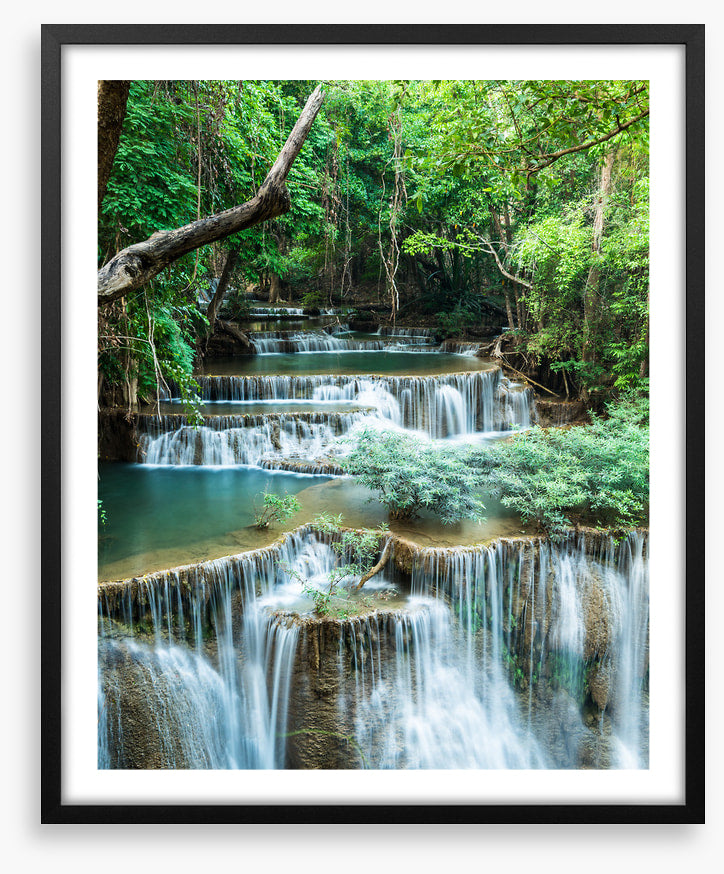 Deep forest falls