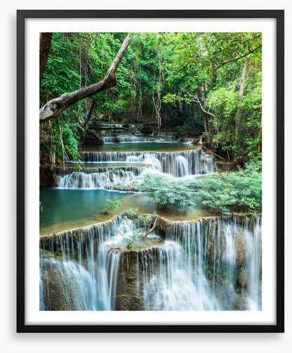 Deep forest falls