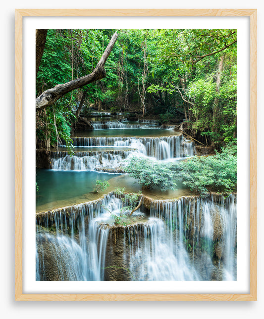 Deep forest falls