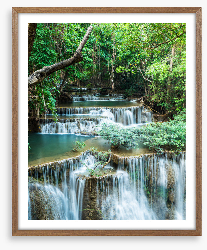 Deep forest falls