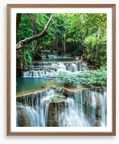 Deep forest falls