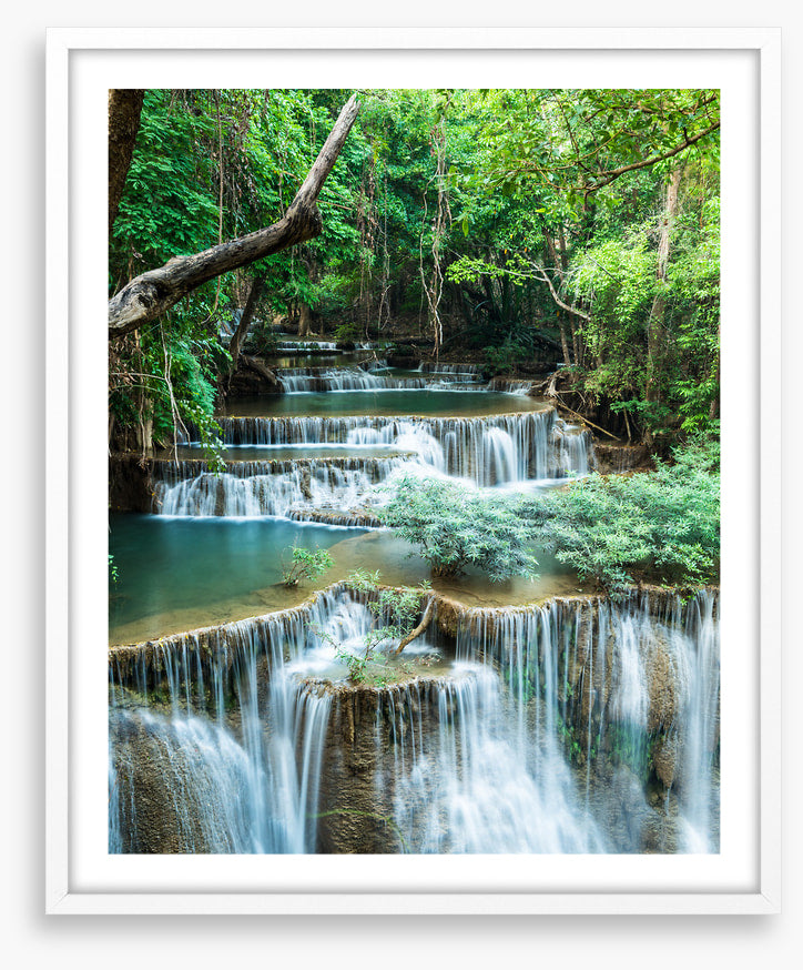 Deep forest falls