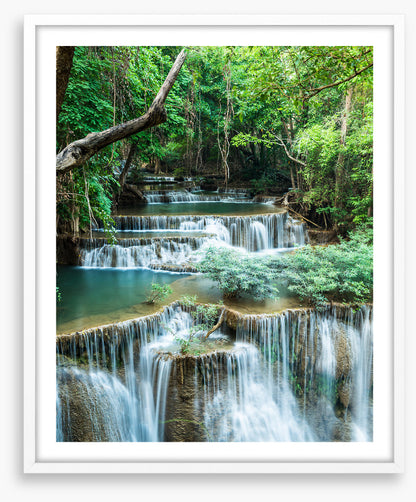Deep forest falls