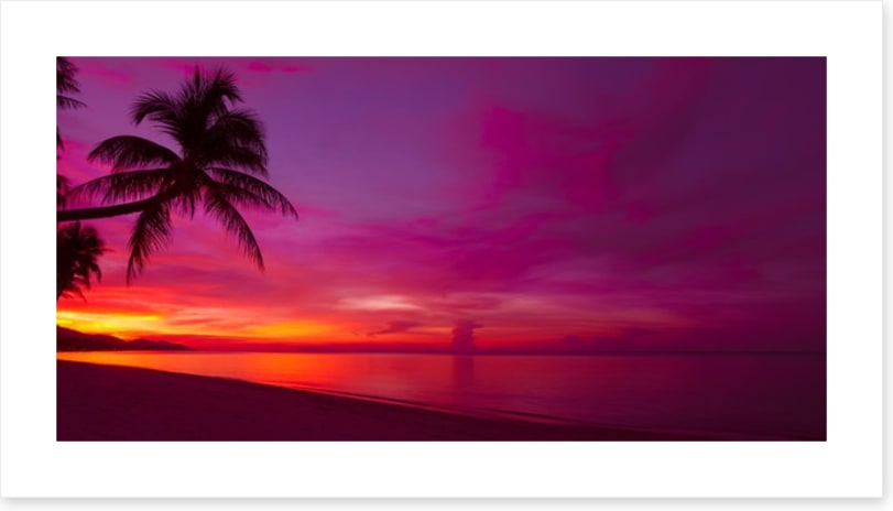Tropical sunset panorama