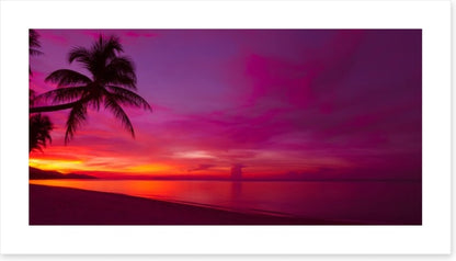 Tropical sunset panorama