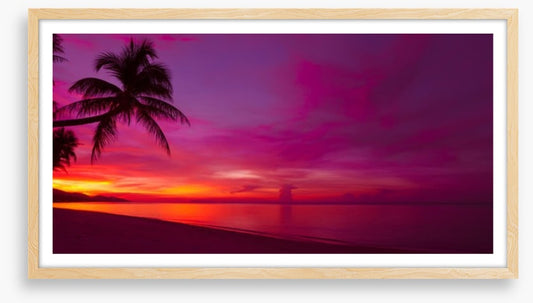 Tropical sunset panorama