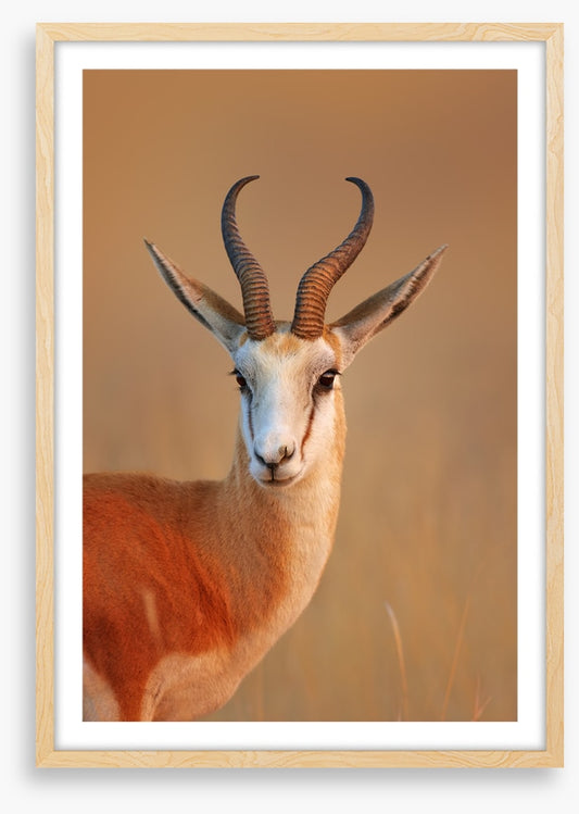 Mammals