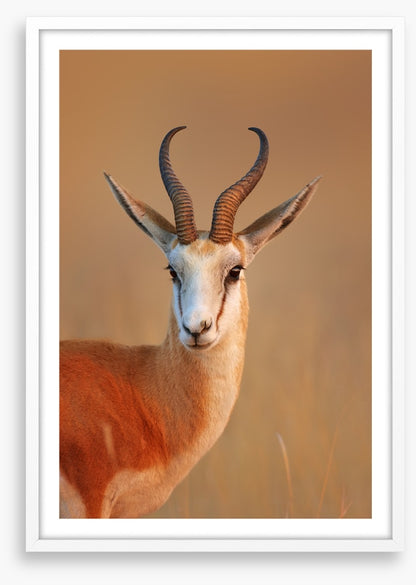 Mammals