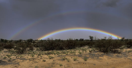 Rainbows