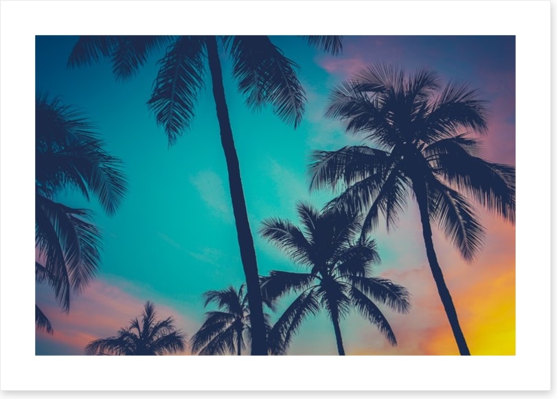 Palm tree perfection, Hawaii