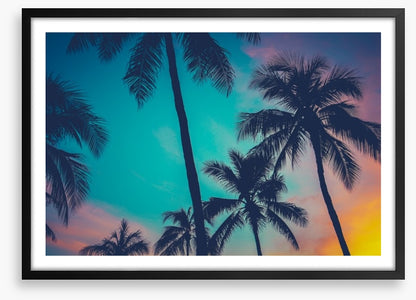 Palm tree perfection, Hawaii