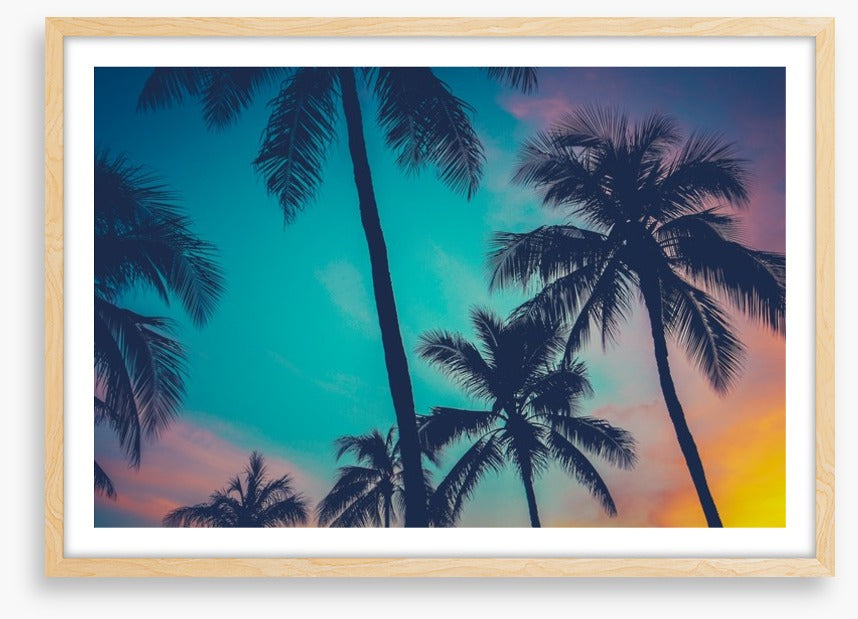 Palm tree perfection, Hawaii