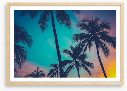 Palm tree perfection, Hawaii