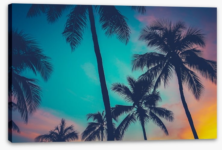 Palm tree perfection, Hawaii