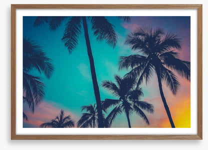 Palm tree perfection, Hawaii