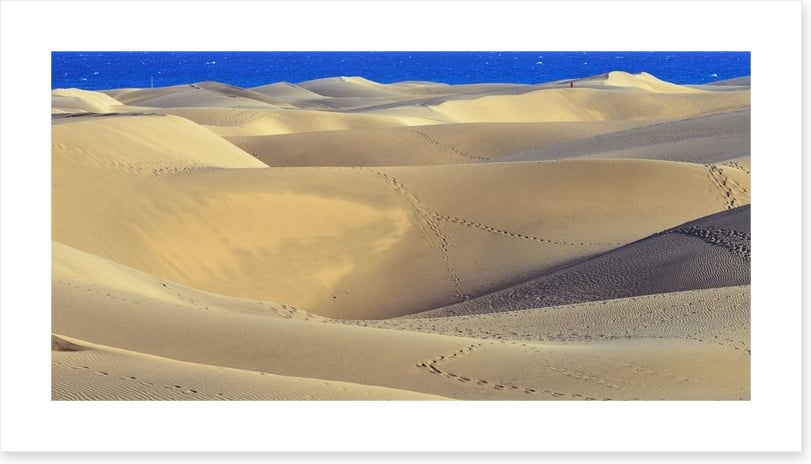 Desert