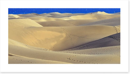 Desert