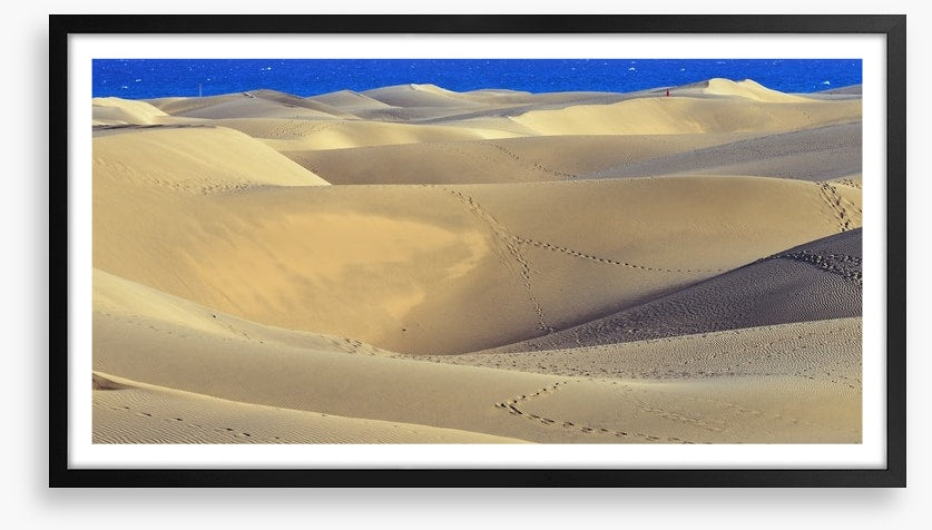 Desert