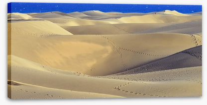 Desert