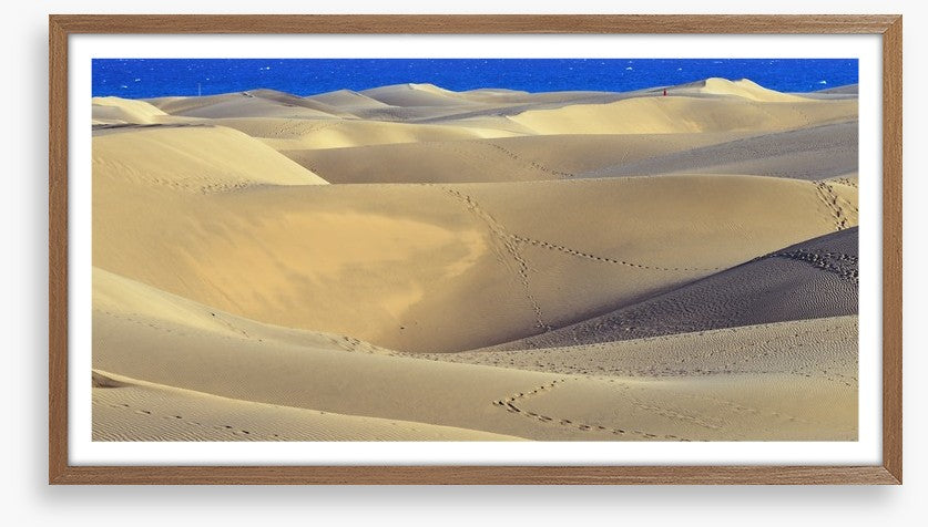 Desert