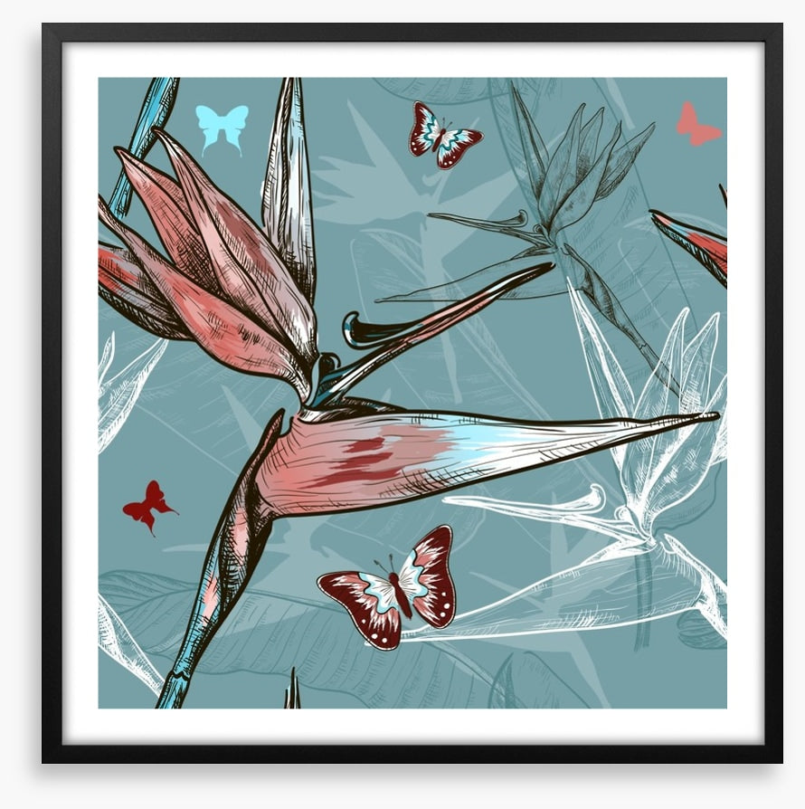 Butterflies