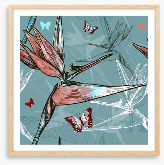 Butterflies