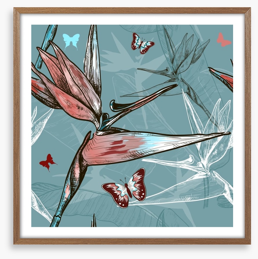 Butterflies