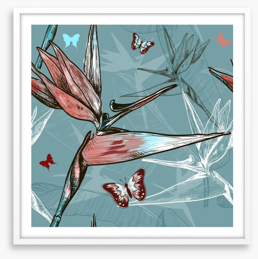 Butterflies