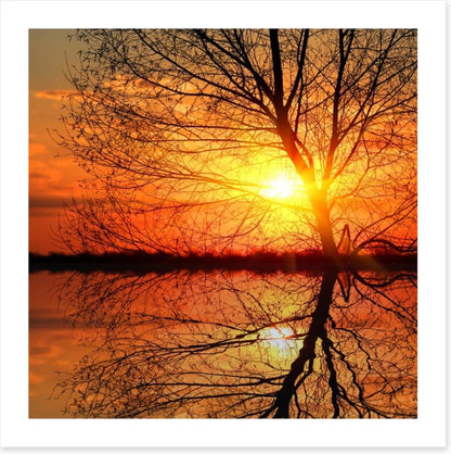 Sunburnt silhouette