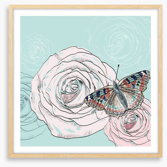 The butterfly and the rose