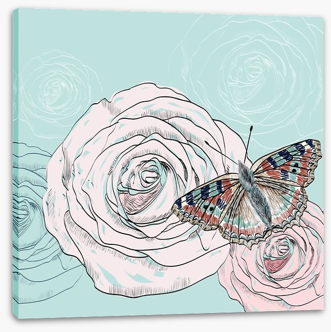 The butterfly and the rose