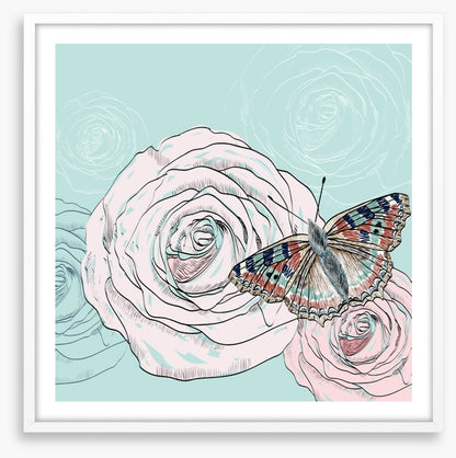 The butterfly and the rose