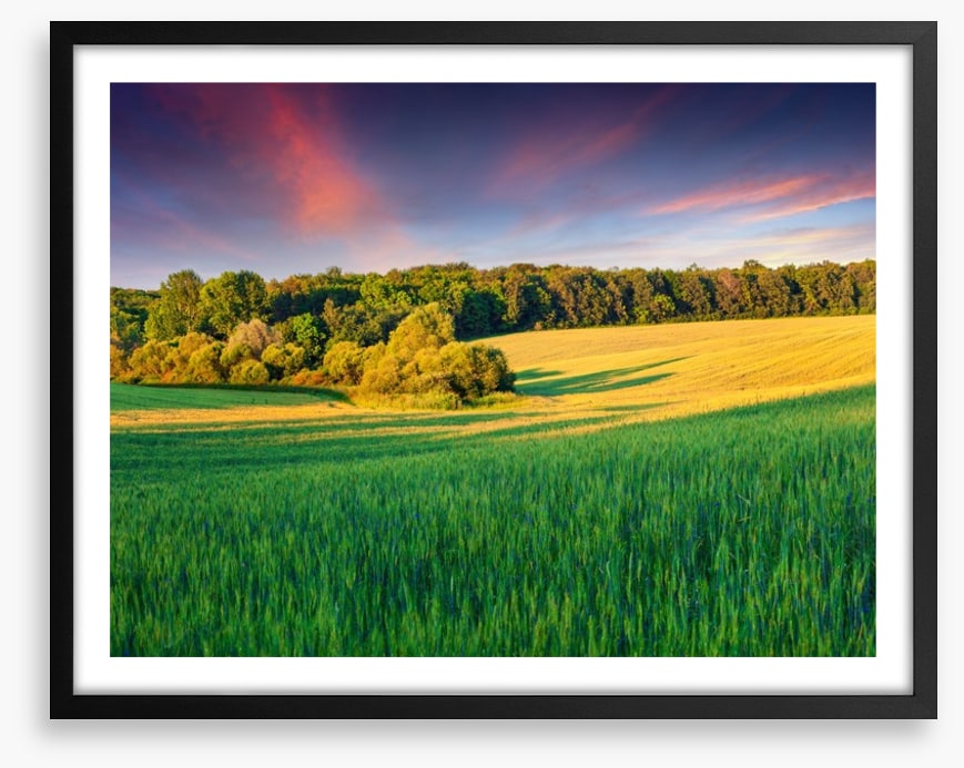 Field of dreams