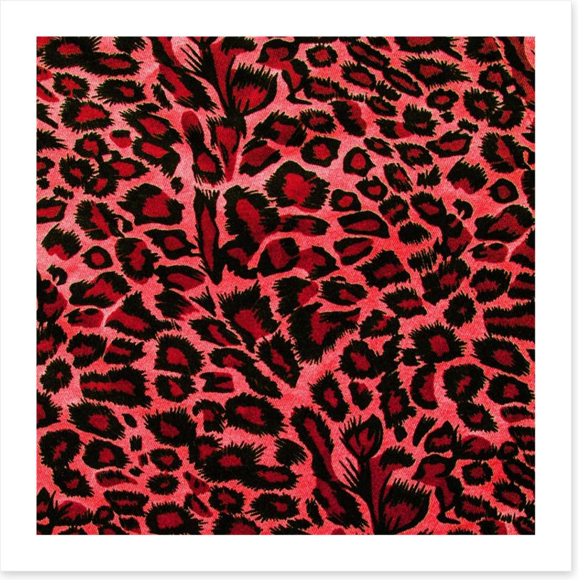 Hot pink leopard