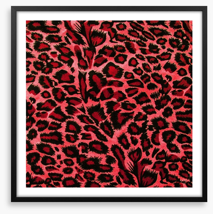 Hot pink leopard