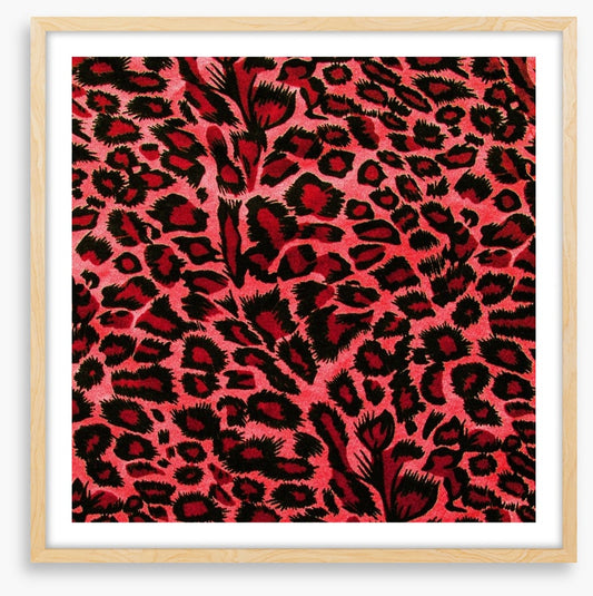 Hot pink leopard