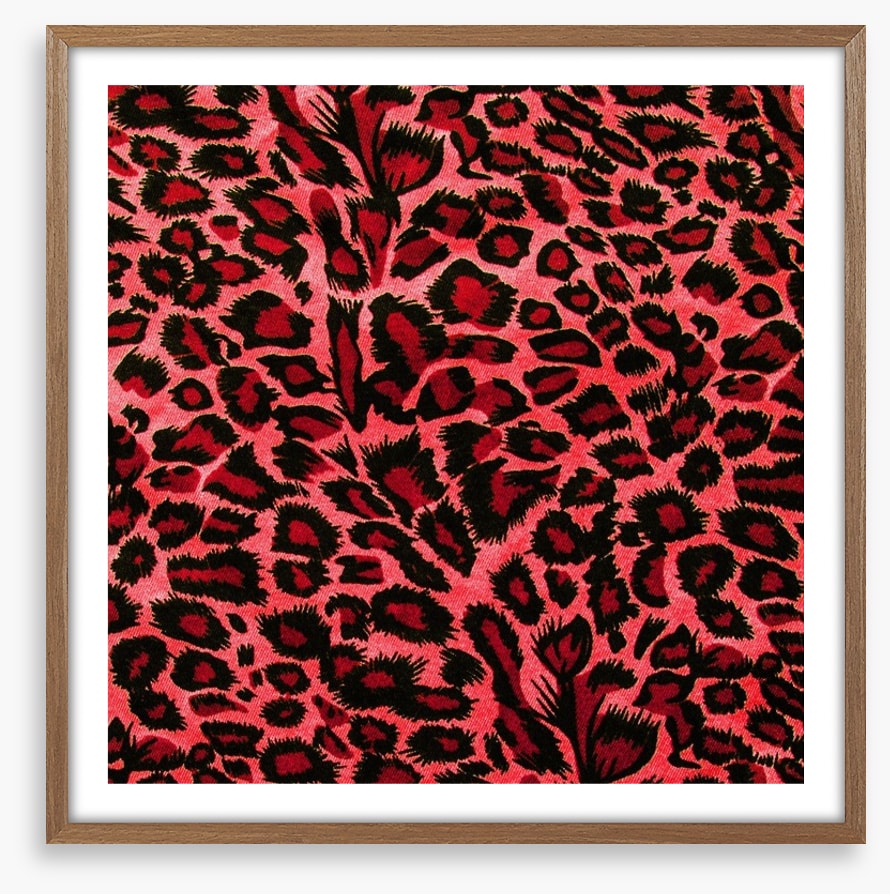 Hot pink leopard